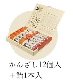 かんざし 11個入