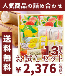 送料無料お試しセット