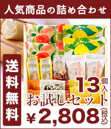 送料無料お試しセット