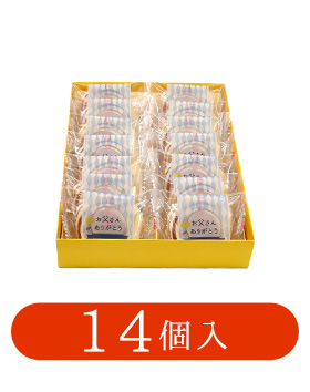 父の日ギフト 日日是好日10個入り