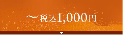 ～税込1,000円