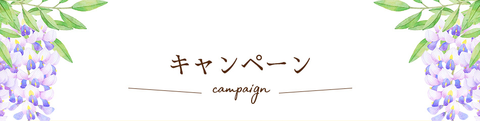 キャンペーン