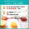 土佐の日曜市ガセット（3個入）
