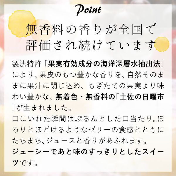 土佐の果物ゼリー 土佐の日曜市12コ入
