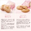 桜ティータイム　9個入り