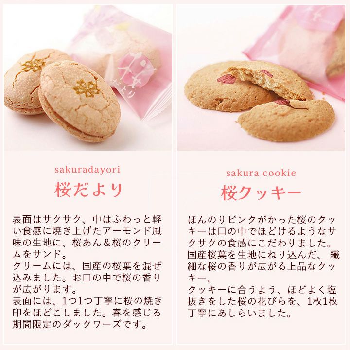  桜ティータイム　13個入