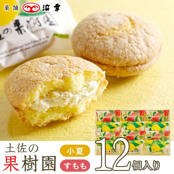  土佐の果樹園12コ入