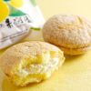  土佐の果樹園12コ入