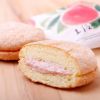  土佐の果樹園12コ入
