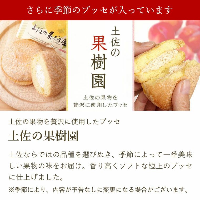 土佐銘菓撰(10個入)